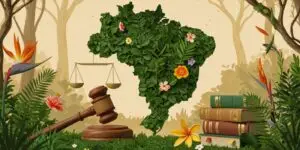 Emenda Constitucional nº 15-1996