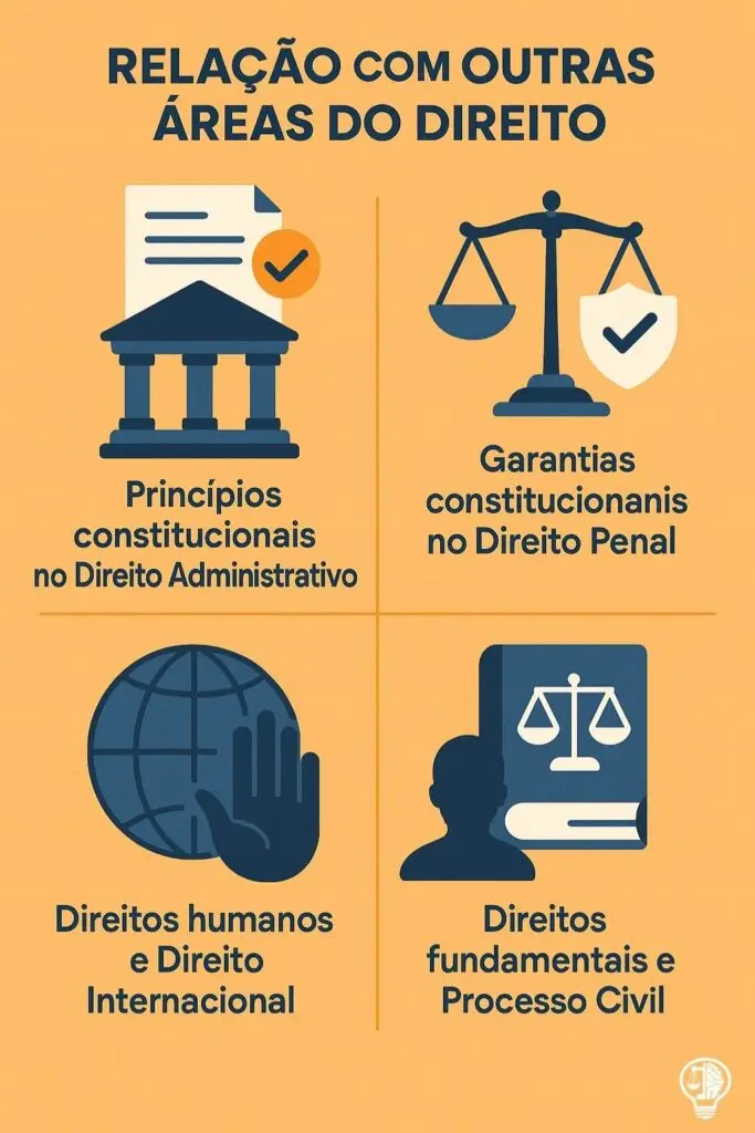 Card Card da Disciplina de Direito Constitucional - Relação com outras áreas do Direito